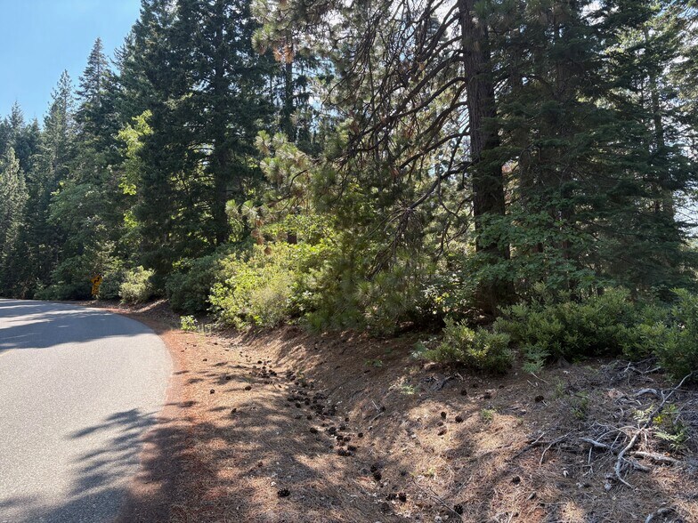 Castle Lake Rd, Mount Shasta, CA for sale - Primary Photo - Image 1 of 6