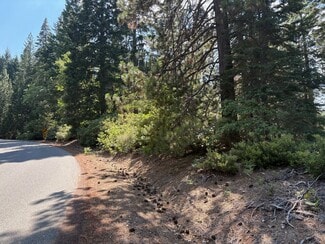 More details for Castle Lake Rd, Mount Shasta, CA - Land for Sale