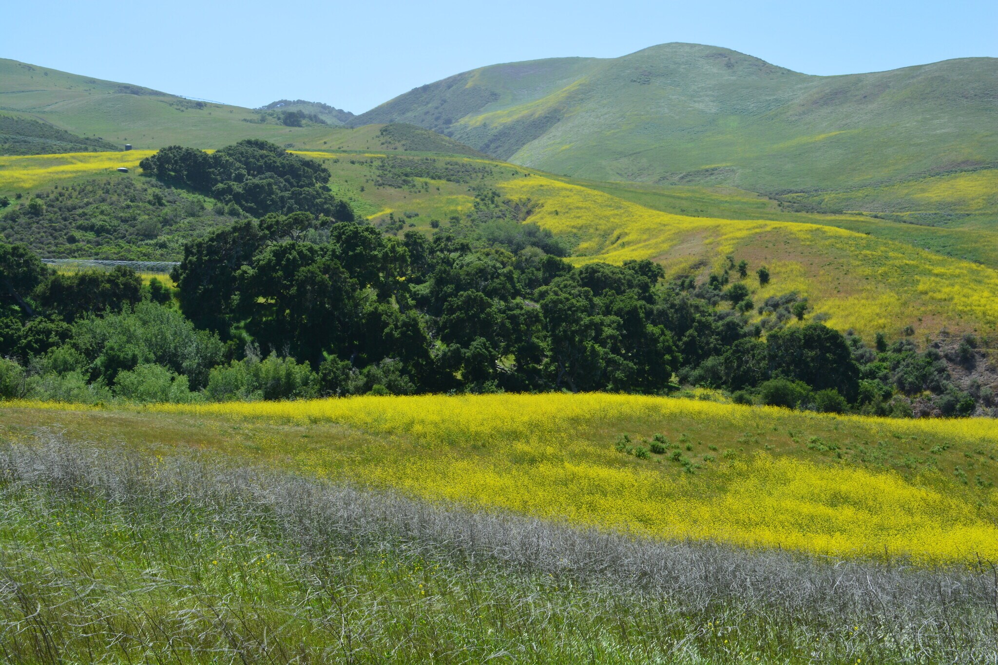 6550 Santa Rosa Rd, Buellton, CA for sale Building Photo- Image 1 of 1