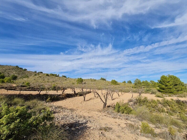 Land in Yecla for sale - Building Photo - Image 3 of 10