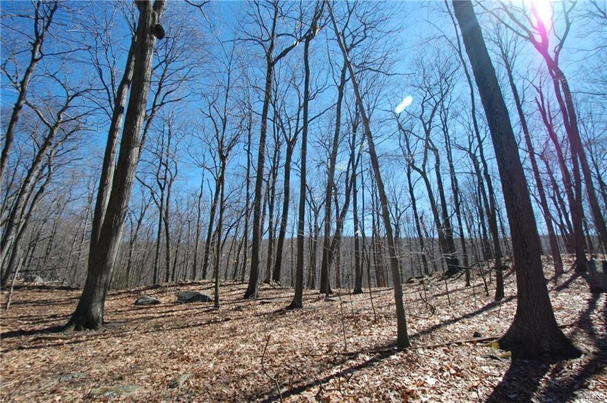 321 Buttermilk Falls Rd, Warwick, NY 10990