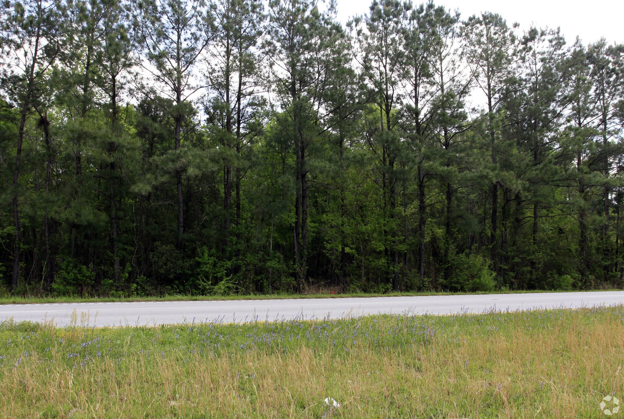 Us-17 Hwy N, Awendaw, SC for sale Primary Photo- Image 1 of 1