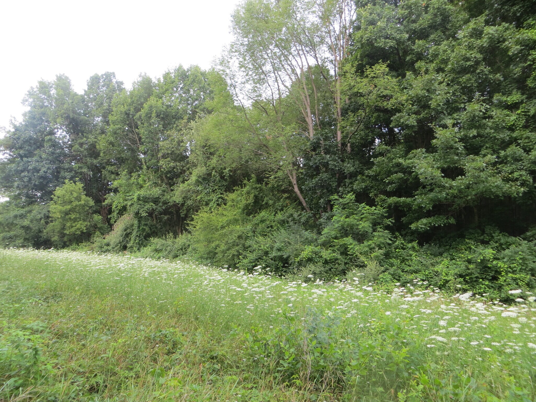 Toma Rd, Pinckney, MI 48130 Land for Sale