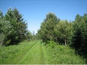 Buttercup Dr, Redgranite, WI for sale Primary Photo- Image 1 of 1