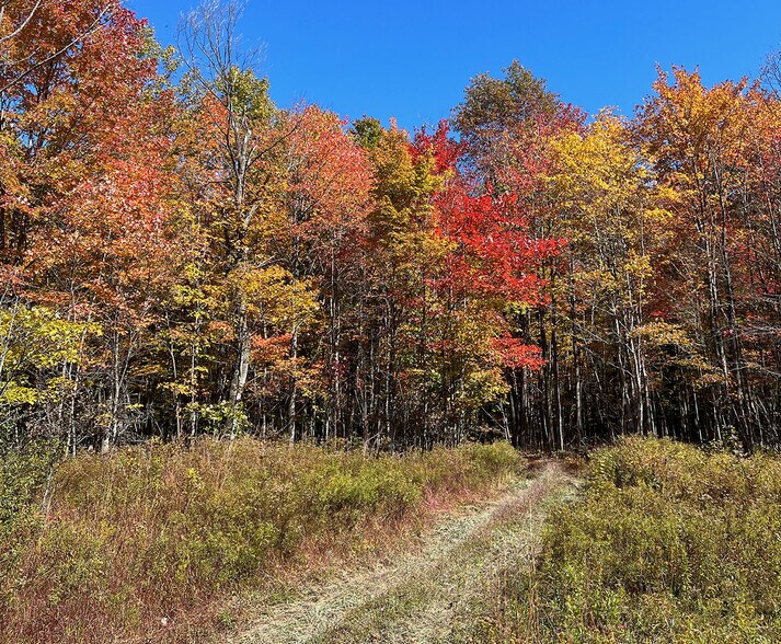 Kissell Springs Rd, Ligonier, PA 15658 Land for Sale