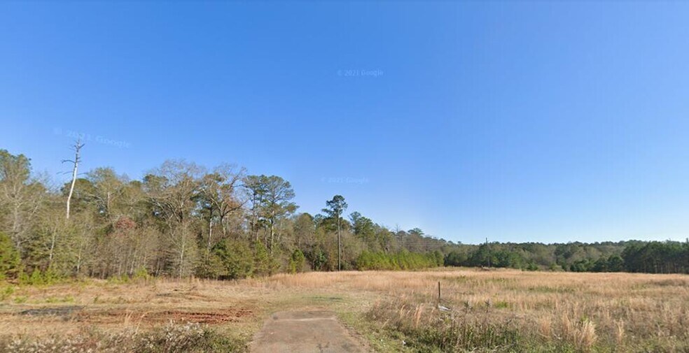 TBD US 280 hwy, Americus, GA 31709 Land for Sale