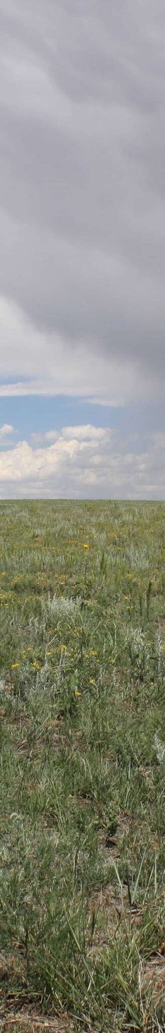 0 North Peyton HWY, Peyton, CO for sale Primary Photo- Image 1 of 1