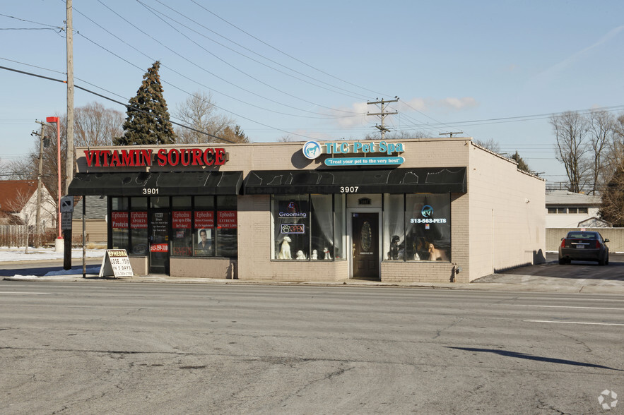 3901 & 3913 S Telegraph Rd Retail Center portfolio of 2 properties for sale on LoopNet.com - Primary Photo - Image 1 of 2