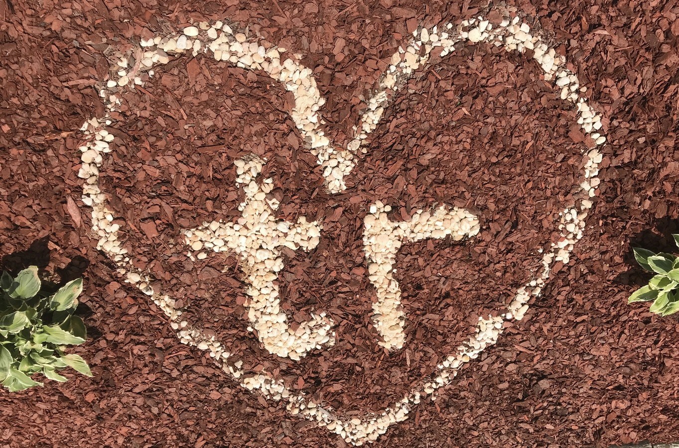 206 Tubbs Mountain Road Ext, Travelers Rest, SC 29690