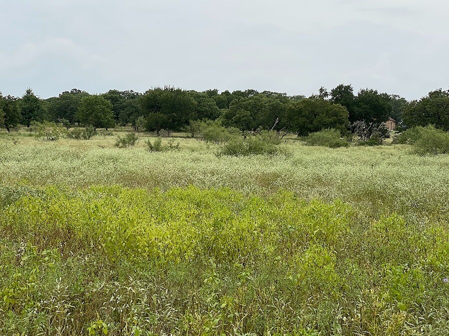 5800 FM 970, Florence, TX for sale Primary Photo- Image 1 of 1