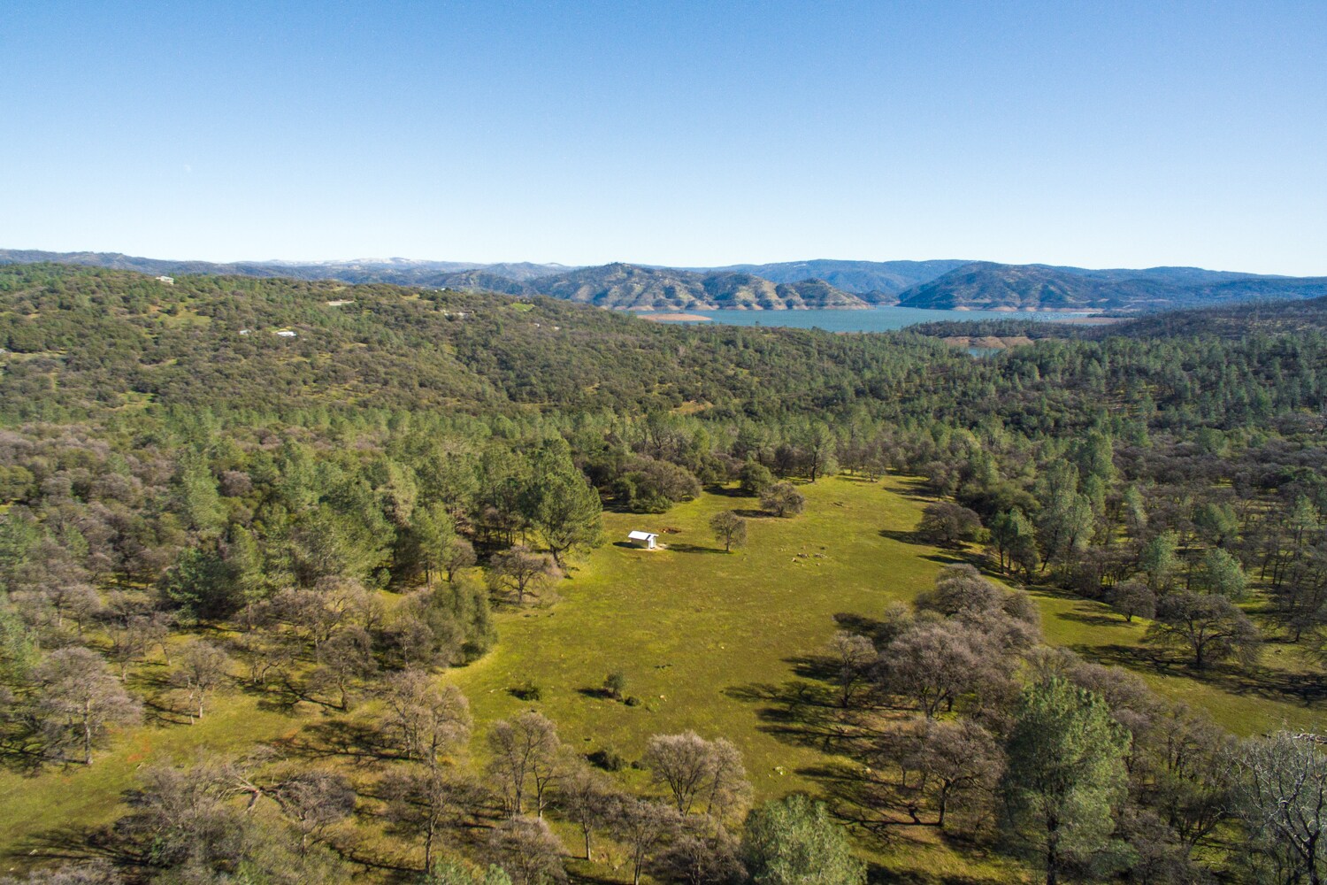 1484 Oregon Gulch, Oroville, CA 95965 Land for Sale