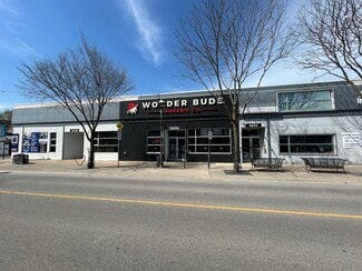 More details for 4635 Queen St, Niagara Falls, ON - Office for Sale