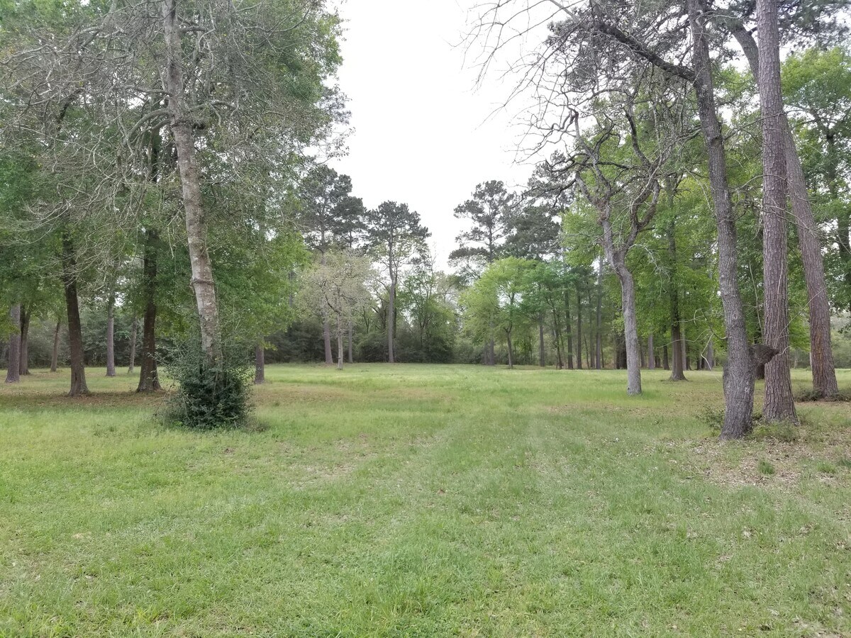 21221 Roberts Cemetery Rd, Hockley, TX 77447