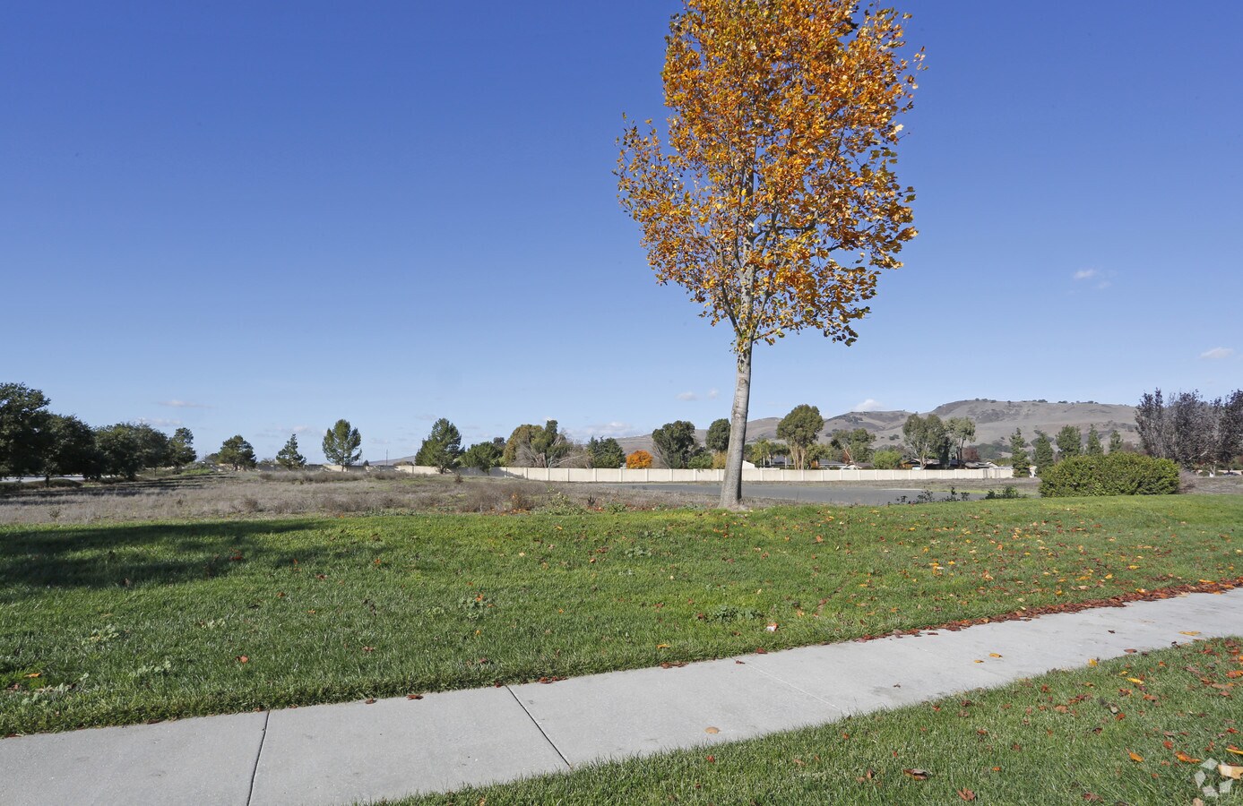 18640 Madrone Pky, Hill, CA 95037