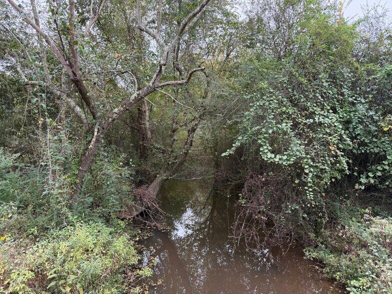 0 County Road 60, Heflin, AL for sale - Building Photo - Image 2 of 17