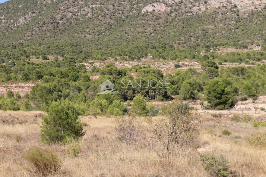 Land in MONÒVER for sale - Building Photo - Image 3 of 17