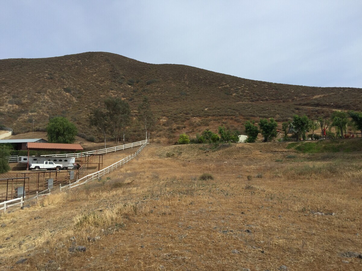 View Photo