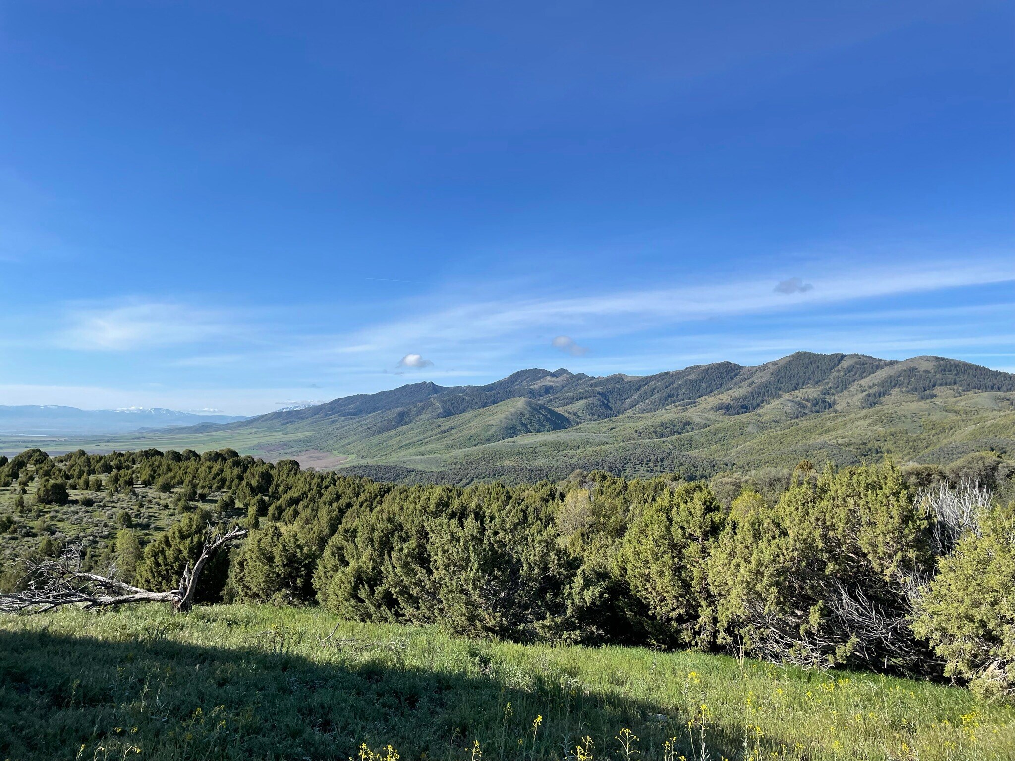 Steel Canyon Road, Clarkston, UT 84305 Steel Canyon Ranch