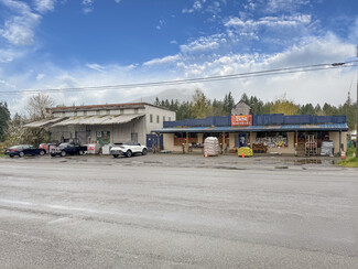 More details for 294382 Us Highway 101, Quilcene, WA - Retail for Lease