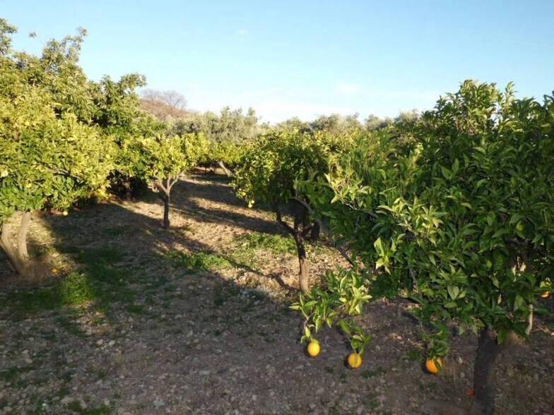 Land in Dalías for sale - Building Photo - Image 3 of 16