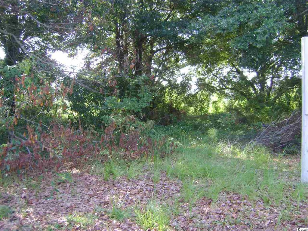 View Photo