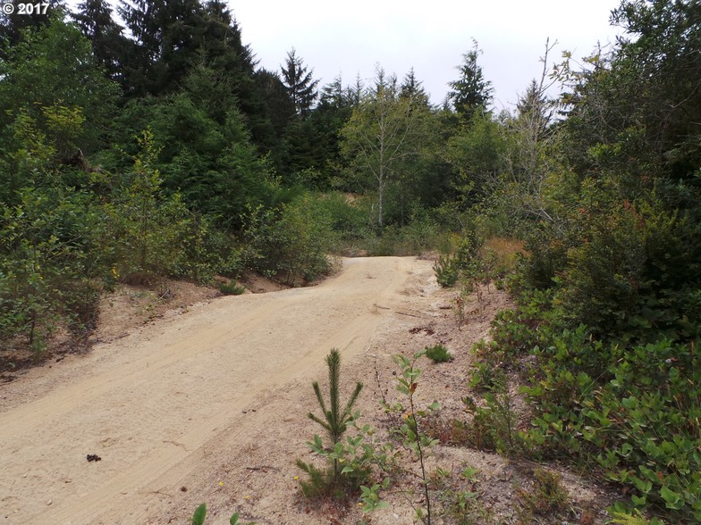 Seven Devils rd, Coos Bay, OR for sale - Primary Photo - Image 1 of 1