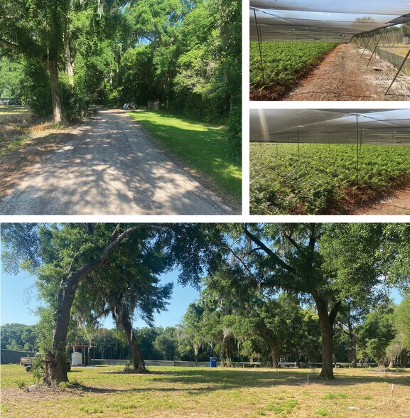 2230 Depot St, Deland, FL for sale - Primary Photo - Image 2 of 5