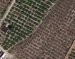 Cami Barranc Sinyor, Llauri, Comunidad Valenciana, Sn, València, Valencia for sale - Building Photo - Image 1 of 5