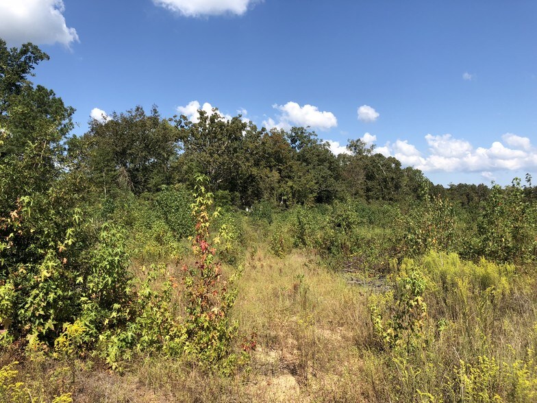 6876 S Sparta Davisboro Rd, Davisboro, GA for sale - Other - Image 1 of 1