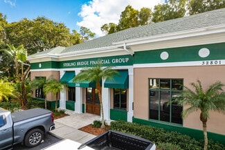 More details for 32801 US Highway 19 N, Palm Harbor, FL - Office for Lease