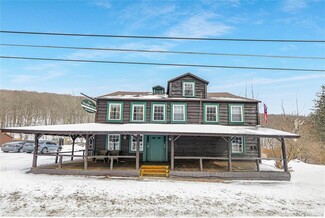 More details for 540 State Route 42, Shandaken, NY - Hospitality for Sale