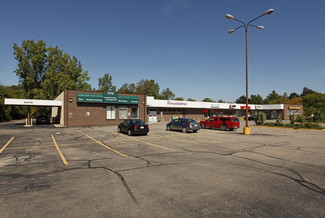 More details for 56270-56330 Grand River Ave, New Hudson, MI - Retail for Lease