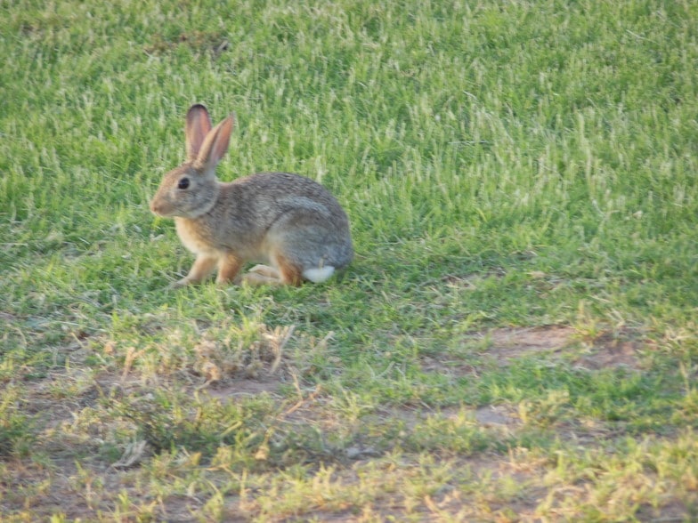8000 TX-191, Odessa, TX for sale - Plat Map - Image 1 of 1