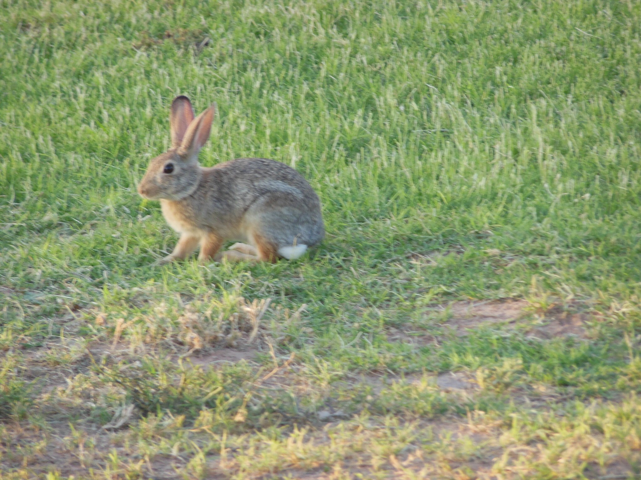 8000 TX-191, Odessa, TX for sale Plat Map- Image 1 of 1