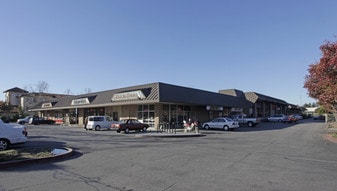 Kings Plaza Shopping Center - Automotive Property