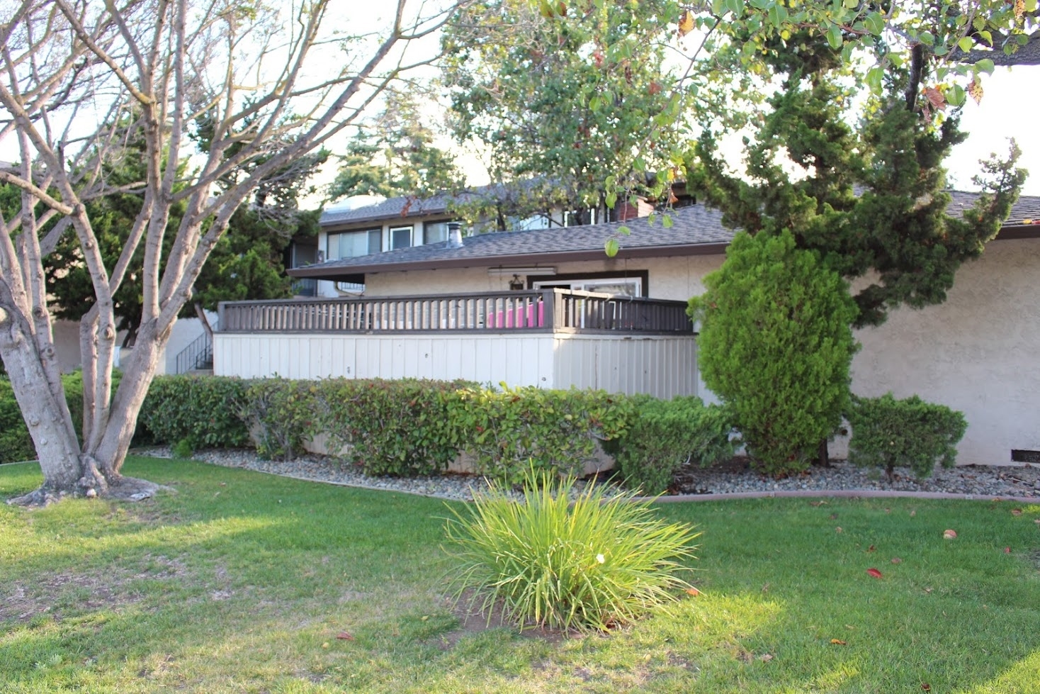 3741 Peacock Ct, Santa Clara, CA for sale Primary Photo- Image 1 of 1