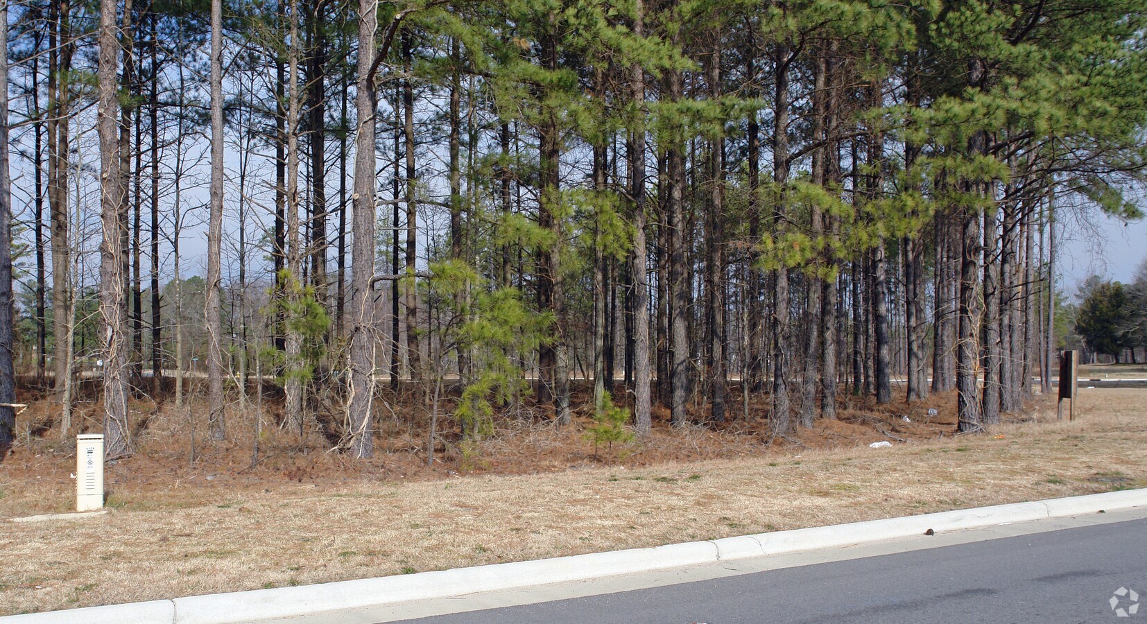 Wendell Blvd, Wendell, NC 27591