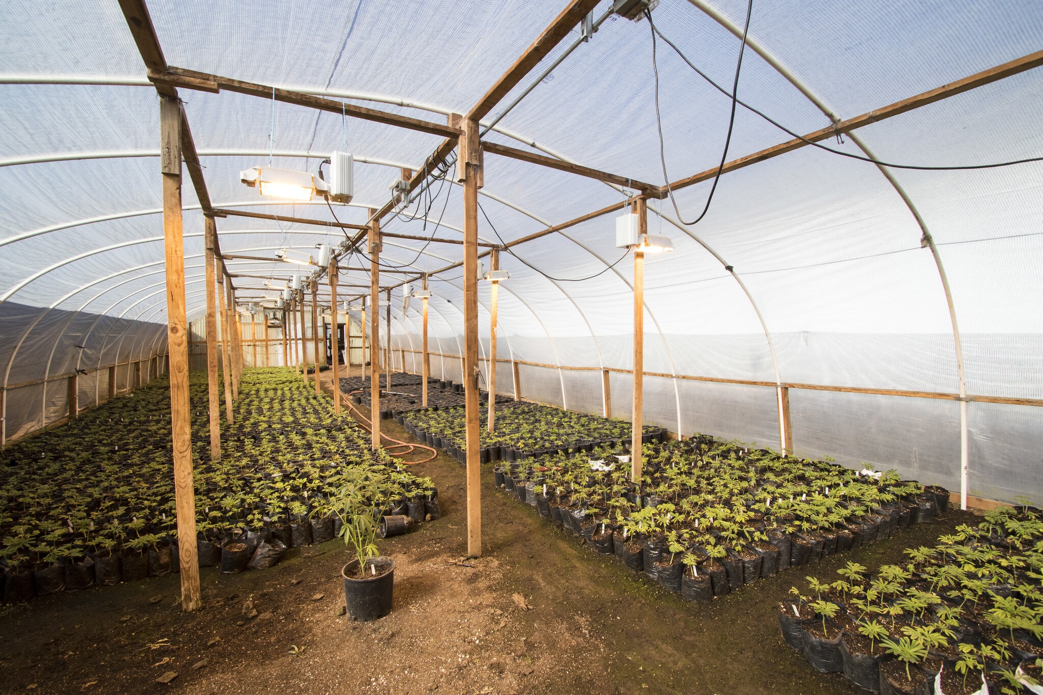 26000 Encinal Rd, Salinas, CA for sale Interior Photo- Image 1 of 1