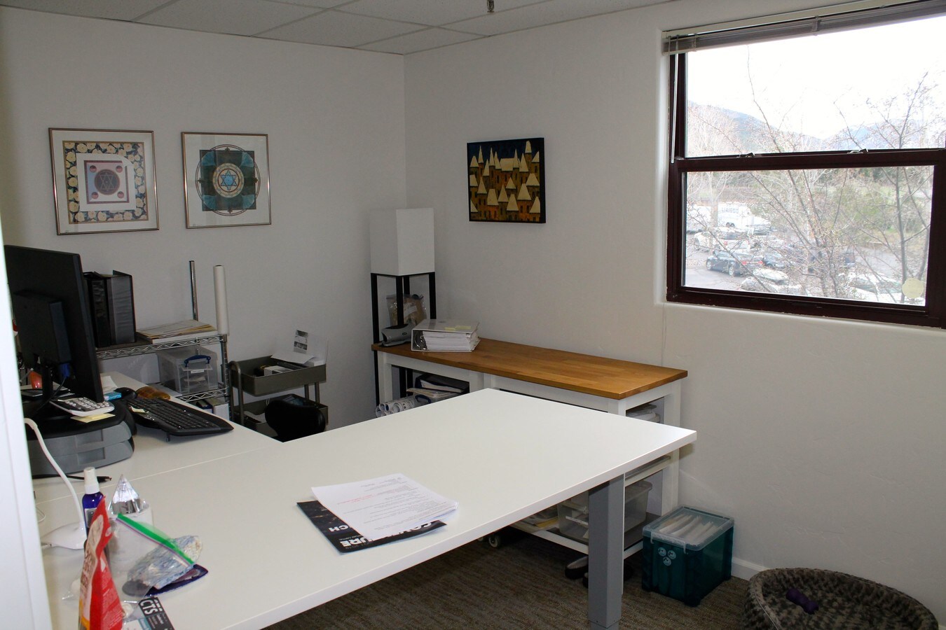 100 Elk Run Dr, Basalt, CO 81621