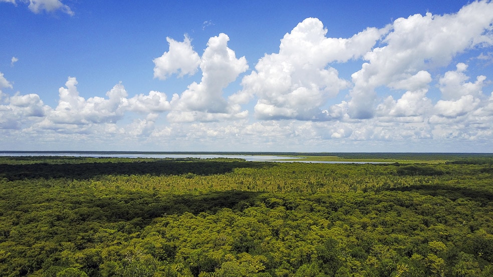 Lake Harney Rd Osteen FL 32754 - Lake Harney Rd Osteen FL Other 2 Large