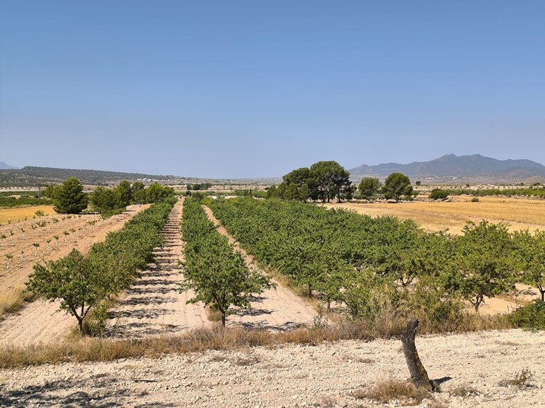 Land in MONÒVER for sale - Building Photo - Image 2 of 6