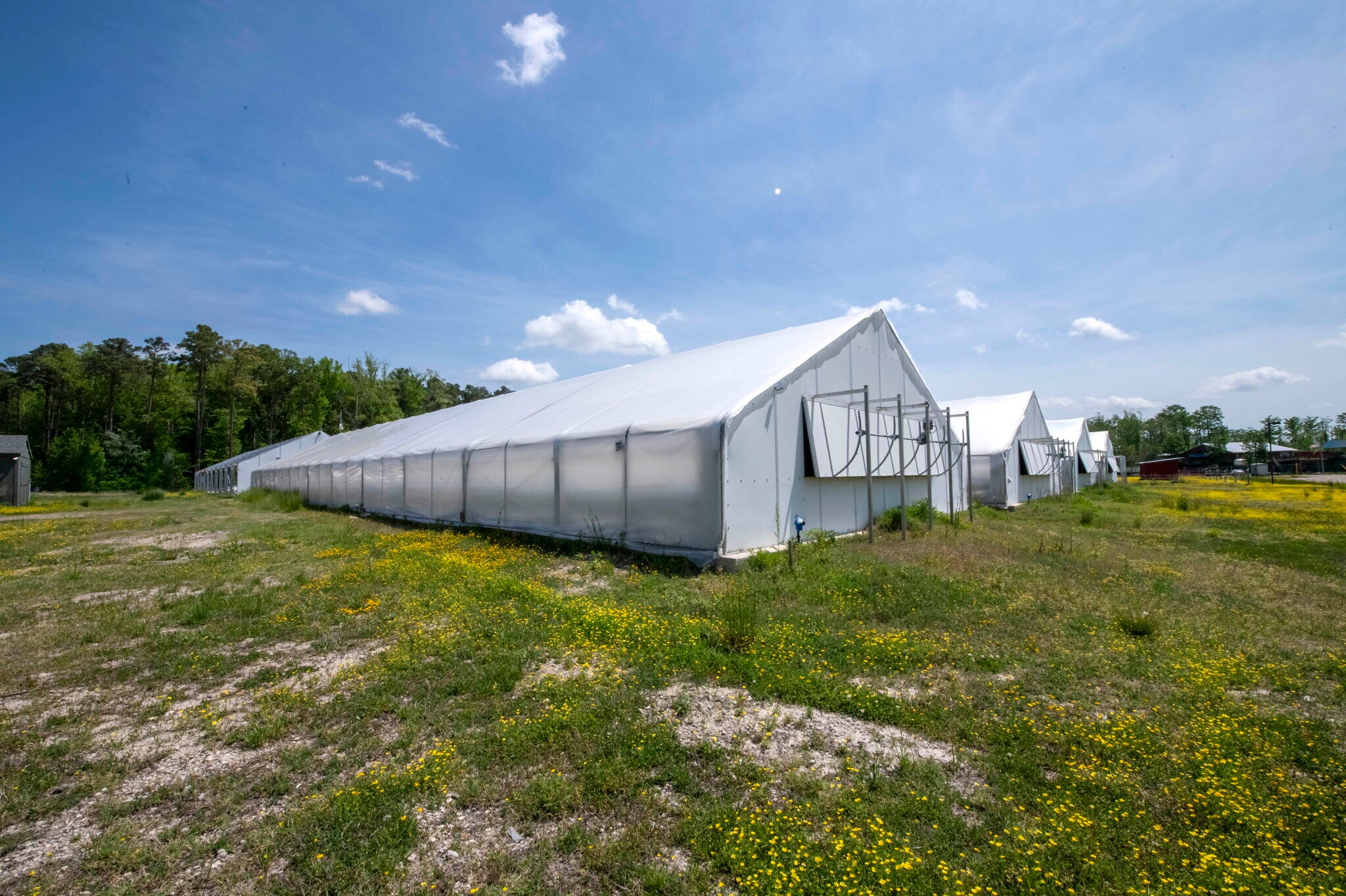 3740 Bridlepath Ln, Virginia Beach, VA for lease Primary Photo- Image 1 of 15