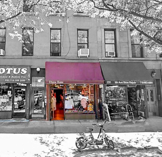 229 5th Ave, Brooklyn, NY for sale - Building Photo - Image 1 of 1