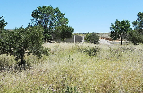 Parcela Centro el Salobrillo, 13 263, Ribatejada, Madrid for sale - Primary Photo - Image 1 of 7