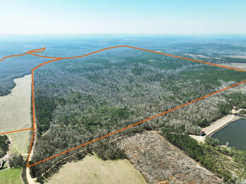 00 County Rd 31, Morris, GA for sale - Primary Photo - Image 1 of 1