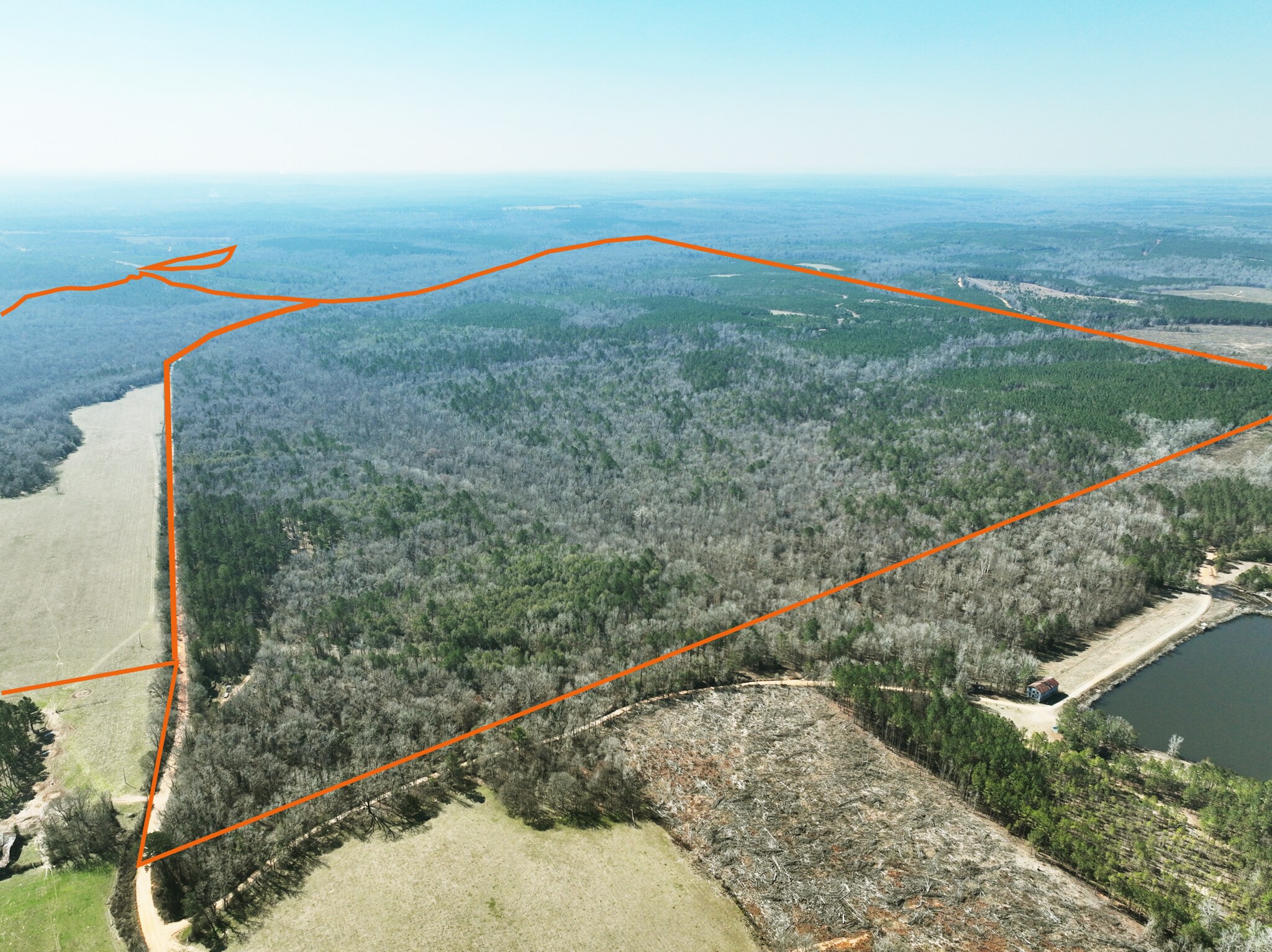 00 County Rd 31, Morris, GA for sale Primary Photo- Image 1 of 1