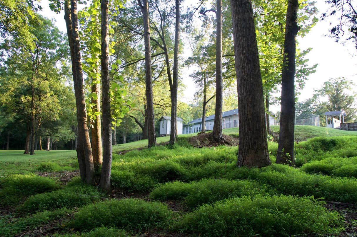 719 New Hope Church Rd, Chapel Hill, NC 27516 Retail for Sale