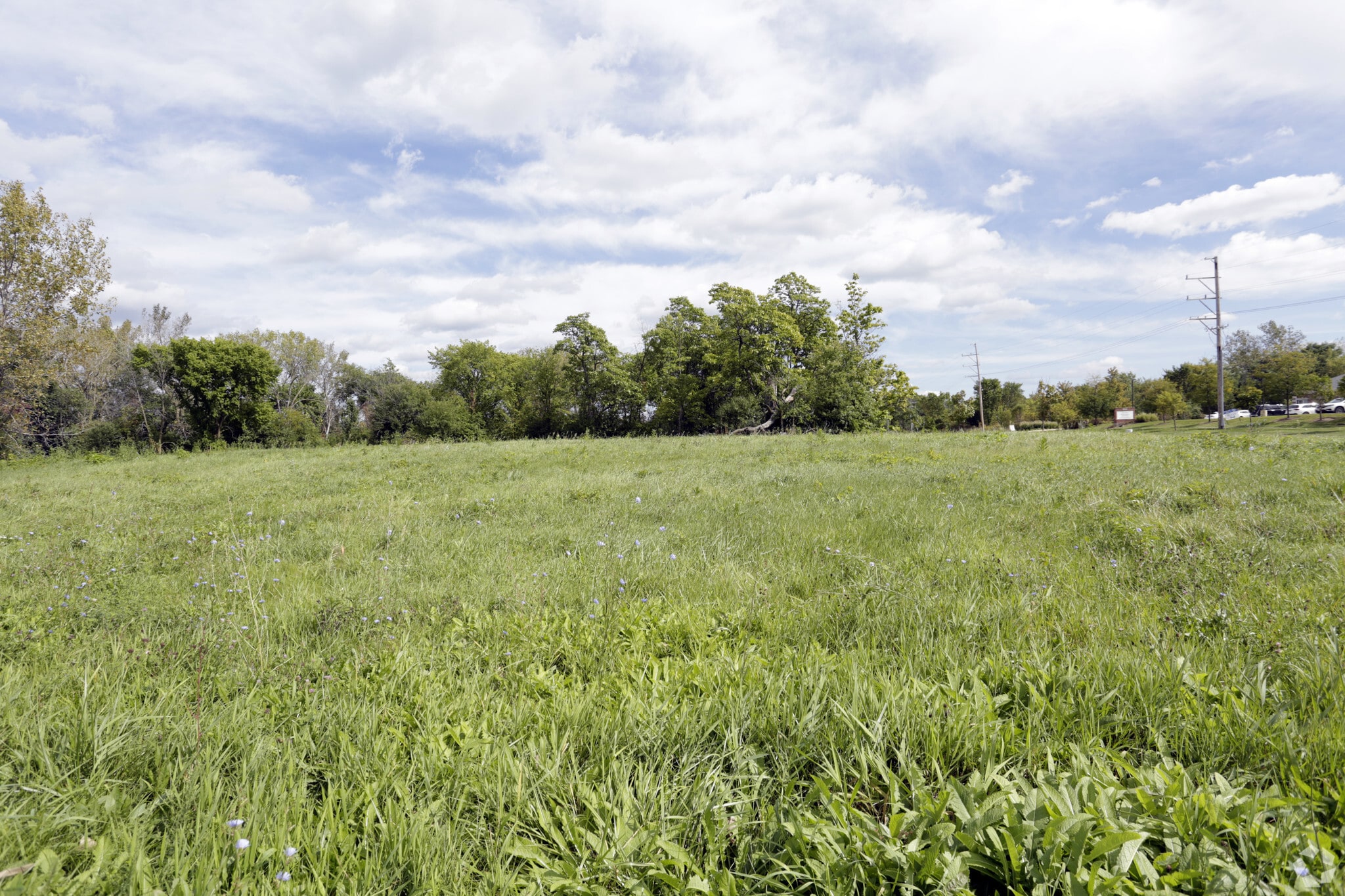15915 W 127th St, Lemont, IL for sale Primary Photo- Image 1 of 4