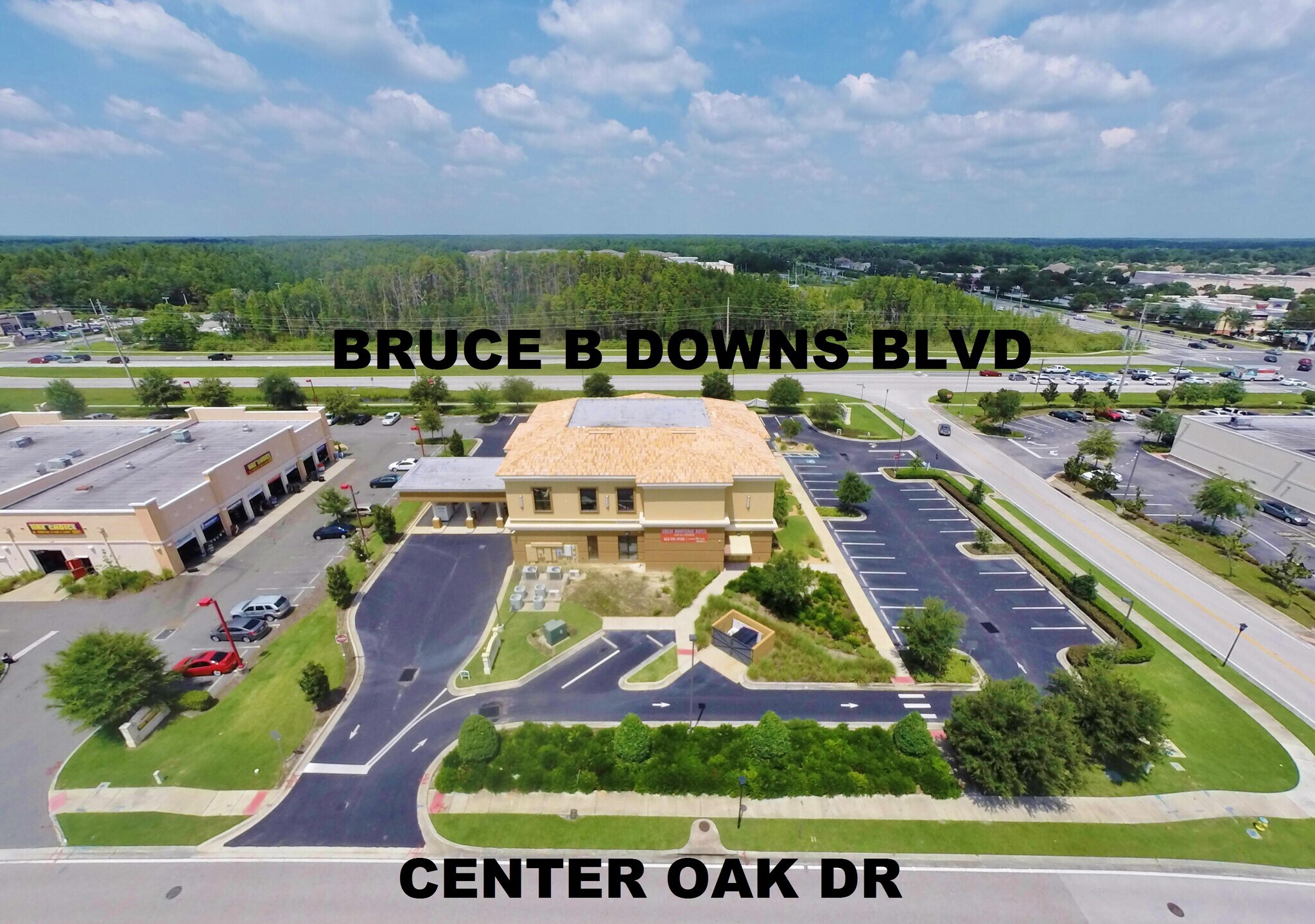 20701 Bruce B Downs Blvd, Tampa, FL 33647 Central Bank Executive Suites