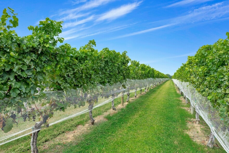 44075 Rte 25, Peconic, NY for sale - Building Photo - Image 2 of 40